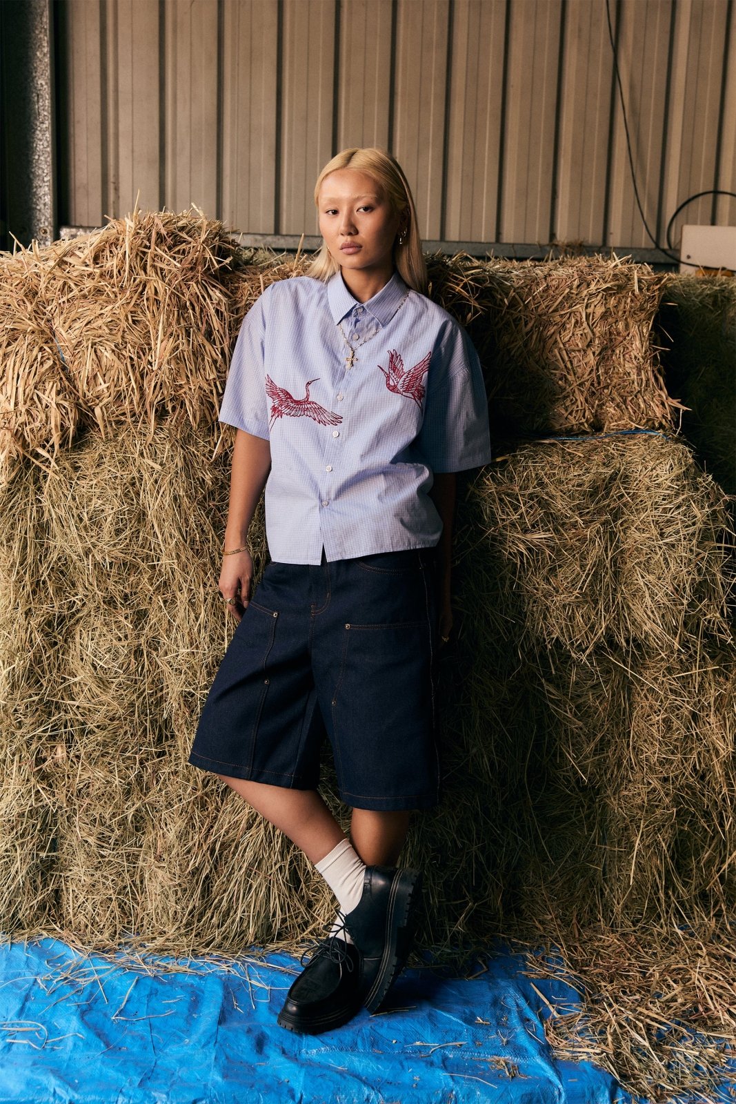 Crane Shirt - Blue Checks - Sixth Avenue