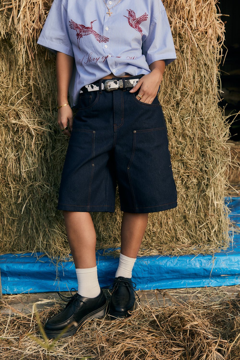 Crane Shirt - Blue Checks - Sixth Avenue