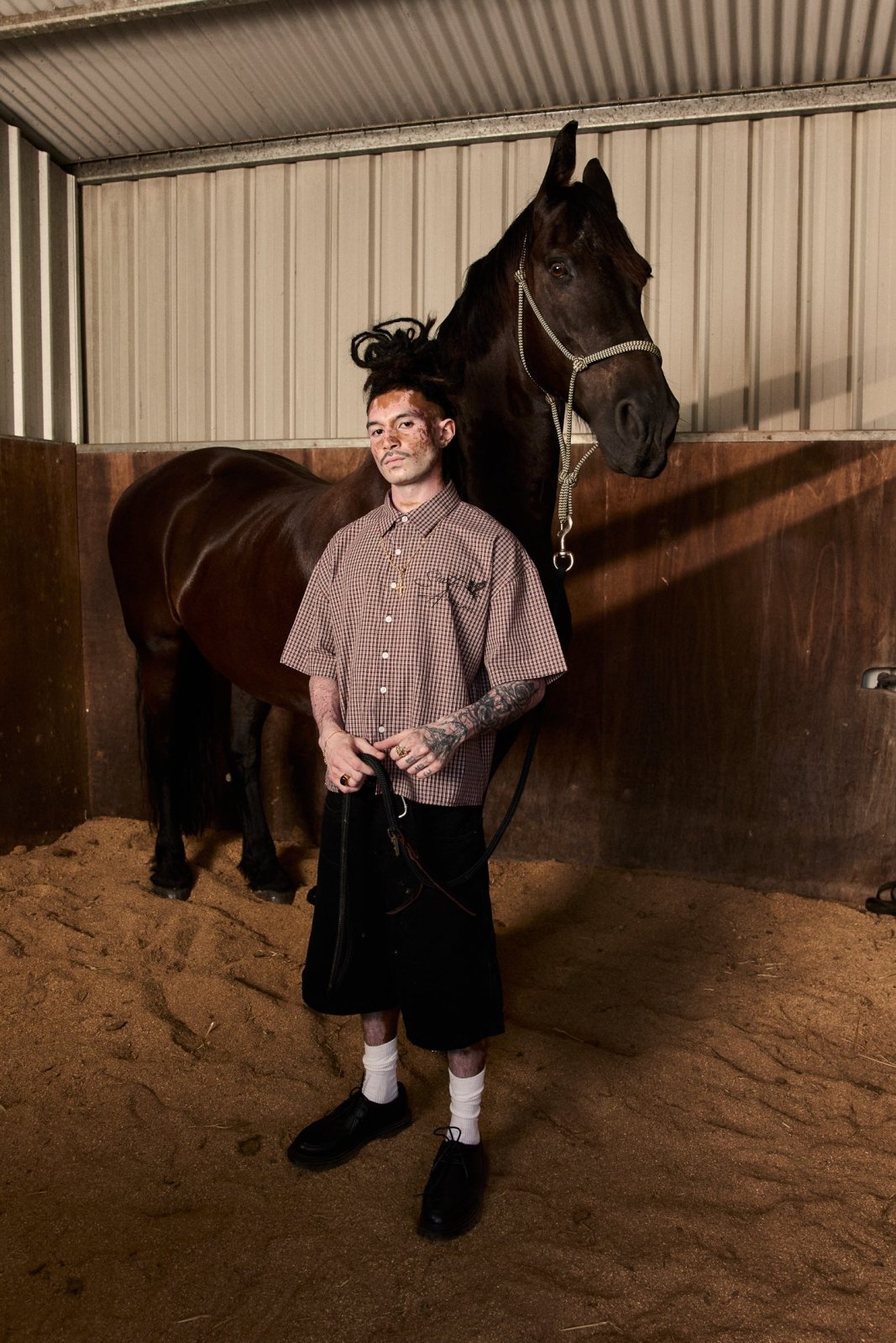 Pegasus Shirt - Brown Checks - Sixth Avenue