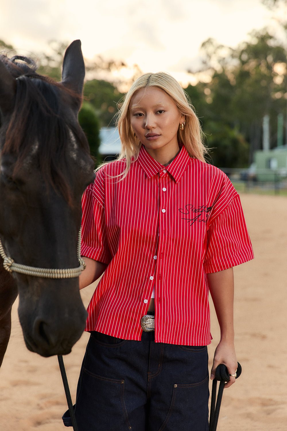 Pegasus Shirt - Red Pinstripe - Sixth Avenue